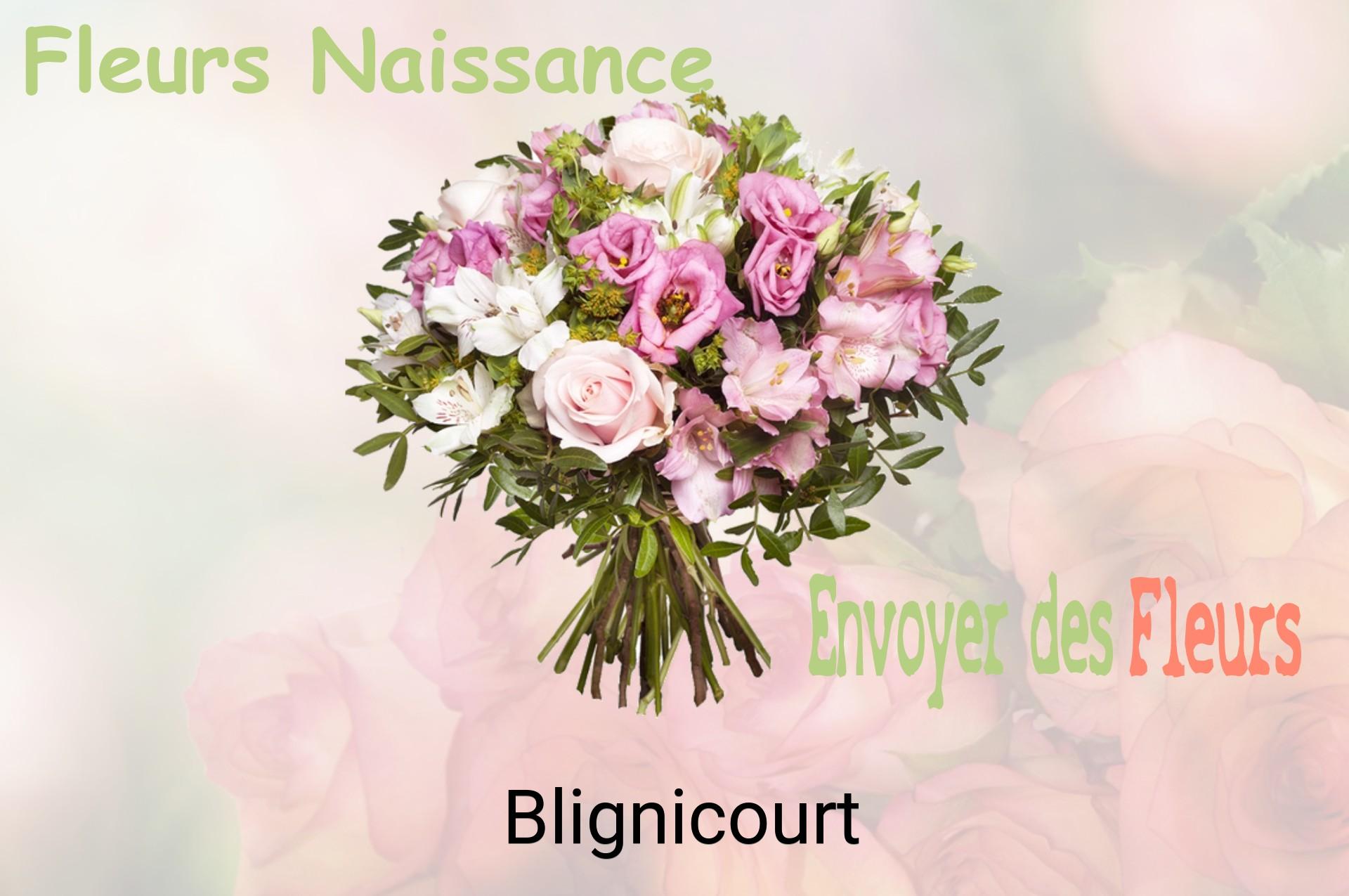 Bouquet de fleurs de naissance livré à Blignicourt